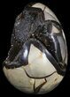 Septarian Dragon Egg Geode - Black Crystals #54577-1